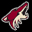 Arizona Coyotes