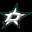 Dallas Stars